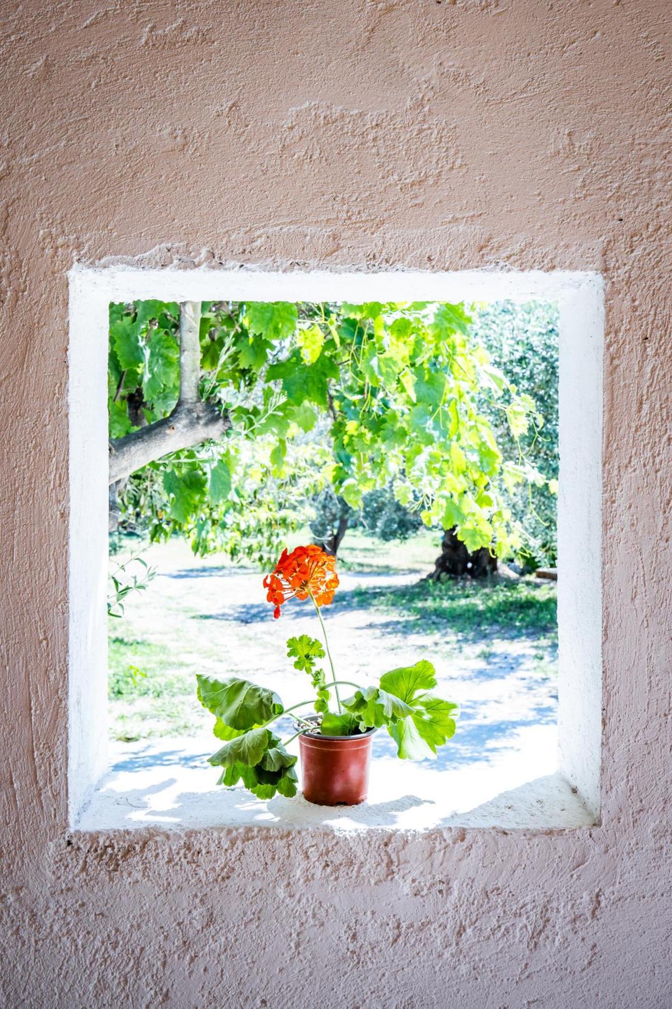 Eleonora'S Villa Skopelos Town Exterior photo